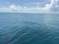 Great day of scuba diving in Key Largo with Rainbow Reef on benwood wreck tropical legend 2026 09 01 r20314 1