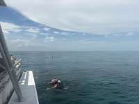 Great day of scuba diving in Key Largo with Rainbow Reef on christ statue tropical destiny 2026 09 08 r20347 1