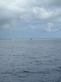 Great day of scuba diving in Key Largo with Rainbow Reef on drift molasses tropical destiny 2026 09 02 r20316 1
