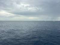 Great day of scuba diving in Key Largo with Rainbow Reef on drift molasses tropical destiny 2026 09 06 r20335 1