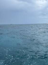 Great day of scuba diving in Key Largo with Rainbow Reef on elbow reef tropical legend 2026 09 06 r20336 1