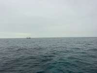 Great day of scuba diving in Key Largo with Rainbow Reef on mikes wreck tropical destiny 2026 09 10 r20353 1