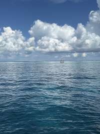 Great day of scuba diving in Key Largo with Rainbow Reef on molasses reef tropical destiny 2026 09 07 r20340 1