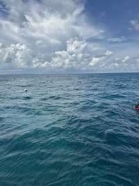 Great day of scuba diving in Key Largo with Rainbow Reef on snapper ledge tropical legend 2026 09 09 r20349 1