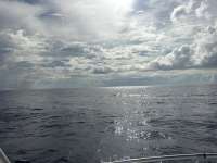 Great day of scuba diving in Key Largo with Rainbow Reef on spiegel grove tropical destiny 2026 09 06 r20332 1