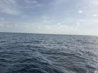 Great day of scuba diving in Key Largo with Rainbow Reef on spiegel grove tropical destiny 2026 09 11 r20357 1