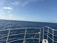 Great day of scuba diving in Key Largo with Rainbow Reef on spiegel grove tropical odyssey 2026 09 03 r20318 1