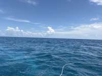 Great day of scuba diving in Key Largo with Rainbow Reef on student classes trip santana 2026 09 04 r20323 1