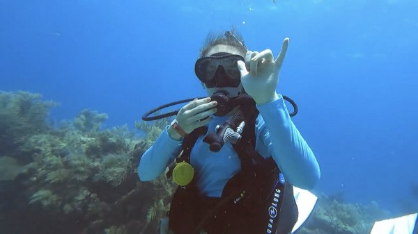 Madelyne, PADI Open Water Diver - Support Staff, Intern | Rainbow Reef Dive Center, Key Largo, Florida Keys image