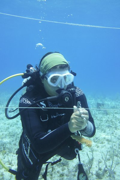Maya, PADI Open Water Scuba Instructor - Instructors, Instructor | Rainbow Reef Dive Center, Key Largo, Florida Keys image