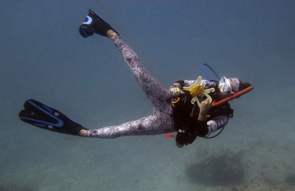 Rebecca E, PADI Open Water Scuba Instructor - Instructors, Instructor | Rainbow Reef Dive Center, Key Largo, Florida Keys image