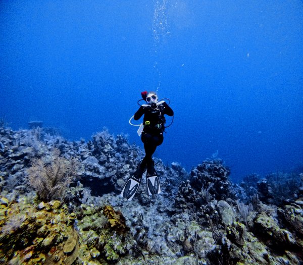 Somer, , , Rainbow Reef Dive Center, Key Largo, Florida Keys image