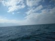 Tuesday January 15th 2019 Santana: USCGC Duane reef report photo 1