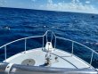 Sunday March 3rd 2019 Santana: Molasses Reef reef report photo 2