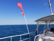 Saturday March 23rd 2019 Santana: Molasses Reef reef report photo 1