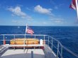 Sunday March 31st 2019 Santana: Woodys reef report photo 1