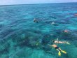 Friday April 5th 2019 Santana: Molasses Reef reef report photo 1