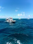 Saturday April 13th 2019 Santana: Molasses Reef reef report photo 1