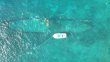 Monday April 22nd 2019 Santana: Benwood Wreck reef report photo 1
