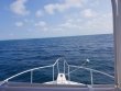 Saturday April 27th 2019 Santana: ChristmasTree Cave reef report photo 1