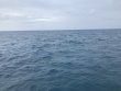 Monday June 17th 2019 Santana: ChristmasTree Cave reef report photo 1