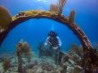Saturday September 14th 2019 Santana: City of Washington reef report photo 1
