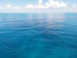 Sunday October 27th 2019 Santana: Molasses Reef reef report photo 1