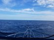 Saturday February 16th 2019 Tropical Adventure: Eagle Ray Alley reef report photo 1