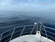 Sunday June 23rd 2019 Tropical Adventure: Spiegel Grove reef report photo 1