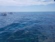 Sunday June 30th 2019 Tropical Adventure: Christ Statue reef report photo 1