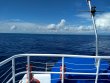 Wednesday October 9th 2019 Tropical Adventure: Drift French reef report photo 1