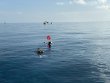 Friday October 18th 2019 Tropical Adventure: Permit Ledges reef report photo 2