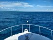 Tuesday February 5th 2019 Tropical Destiny: Molasses Reef reef report photo 2