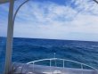 Saturday February 23rd 2019 Tropical Destiny: Fire Coral Cave reef report photo 1