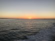 Saturday March 2nd 2019 Tropical Destiny: Benwood Wreck reef report photo 1