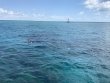 Tuesday May 21st 2019 Tropical Destiny: USCGC Duane reef report photo 1