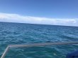 Wednesday June 12th 2019 Tropical Destiny: ChristmasTree Cave reef report photo 1