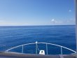 Tuesday July 23rd 2019 Tropical Destiny: Benwood Wreck reef report photo 1