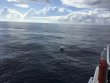 Friday August 30th 2019 Tropical Destiny: Spiegel Grove reef report photo 1