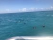 Tuesday December 10th 2019 Tropical Destiny: Sand Island reef report photo 1