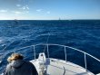Tuesday December 24th 2019 Tropical Destiny: North Star reef report photo 1