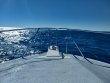 Tuesday January 29th 2019 Tropical Explorer: Spiegel Grove reef report photo 1