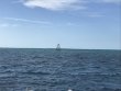 Saturday January 5th 2019 Tropical Legend: North Star reef report photo 1