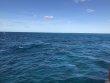 Saturday January 19th 2019 Tropical Legend: Fire Coral Cave reef report photo 1