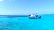 Monday March 25th 2019 Tropical Legend: Eagle Ray Alley reef report photo 1