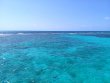 Wednesday April 10th 2019 Tropical Legend: ChristmasTree Cave reef report photo 1