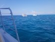 Monday May 6th 2019 Tropical Legend: North Star reef report photo 1