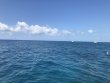 Wednesday May 8th 2019 Tropical Legend: Fire Coral Cave reef report photo 1