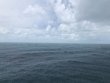 Friday May 10th 2019 Tropical Legend: Hole in the Wall reef report photo 1