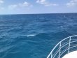 Saturday May 25th 2019 Tropical Legend: Benwood Wreck reef report photo 1